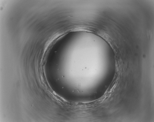 X0000061150289200511211009