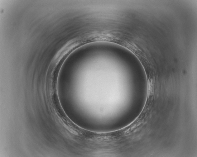 X0000061150291200511211009