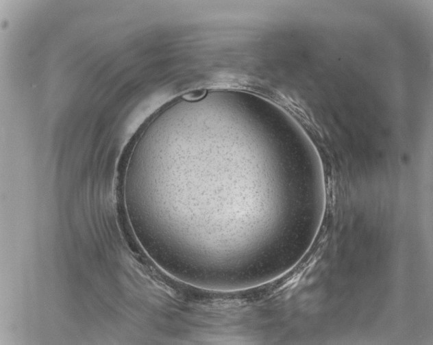 X0000061150292200511211009