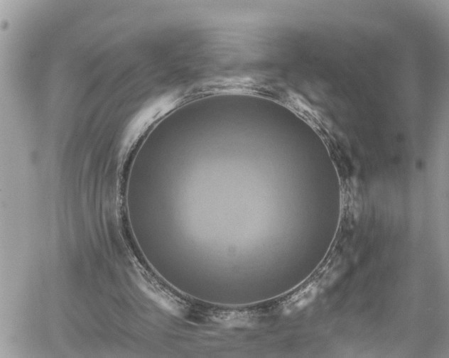 X0000061150293200511211009