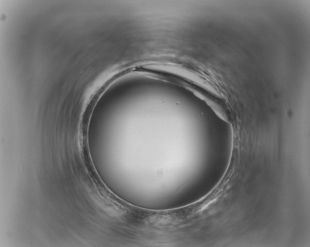 X0000061150294200511211008