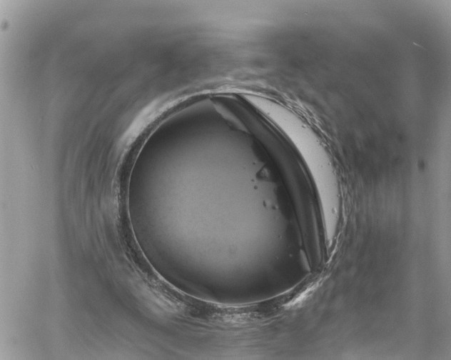 X0000061150295200511211008