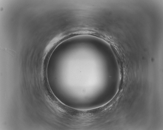 X0000061150296200511211008