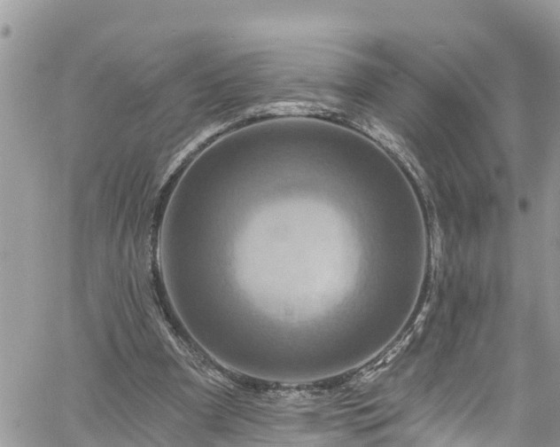 X0000061150297200511211008