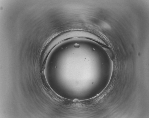 X0000061150298200511211008