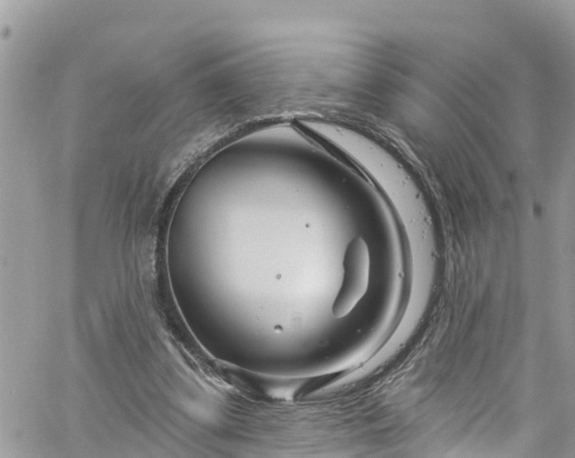 X0000061150299200511211008