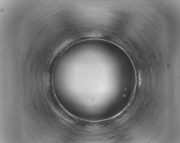 X0000061150300200511211008