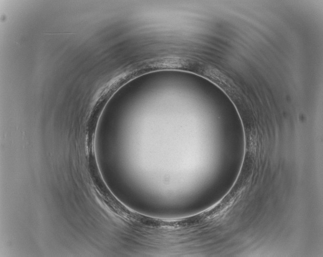 X0000061150302200511211008