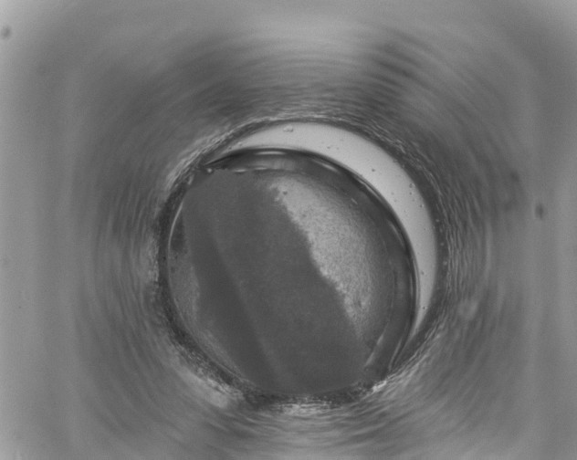 X0000061150303200511211008