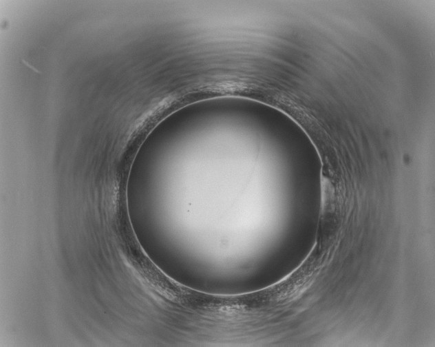 X0000061150304200511211008