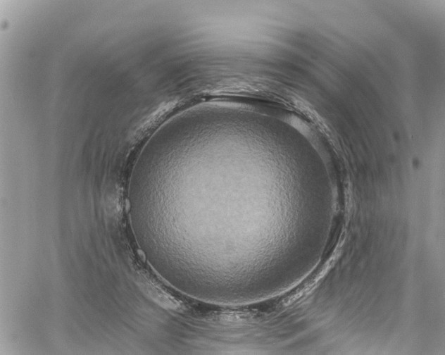 X0000061150305200511211008