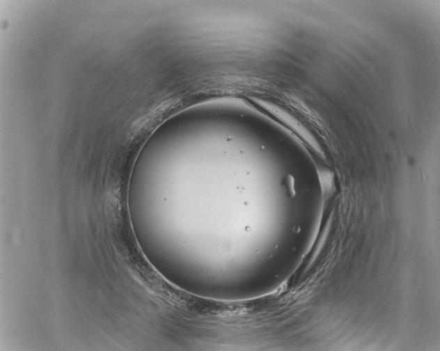 X0000061150306200511211008