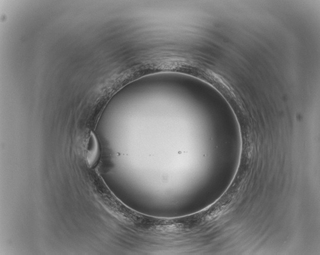 X0000061150307200511211008