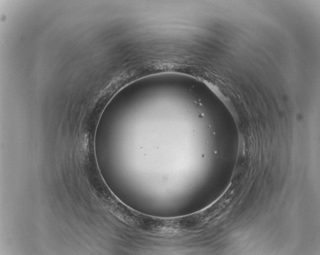 X0000061150308200511211008