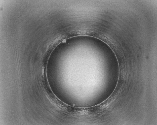 X0000061150310200511211008