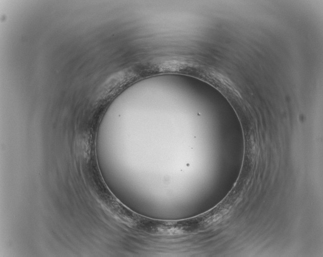 X0000061150311200511211008