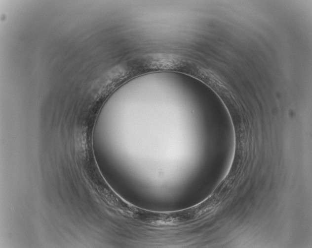 X0000061150312200511211008