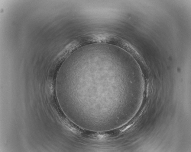 X0000061150313200511211008