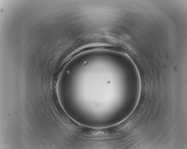 X0000061150315200511211008