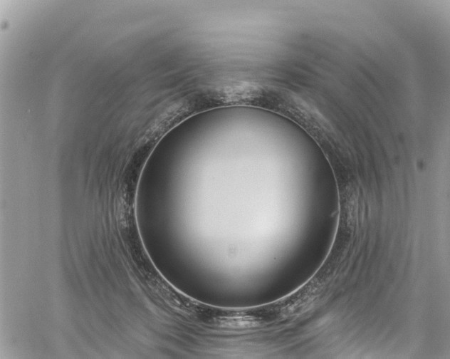 X0000061150316200511211008