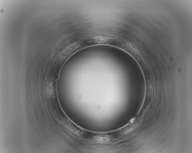 X0000061150317200511211008