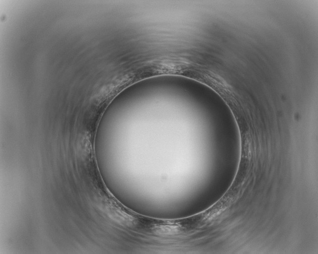 X0000061150318200511211008