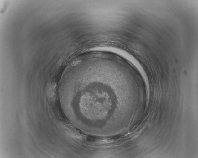 X0000061150319200511211008