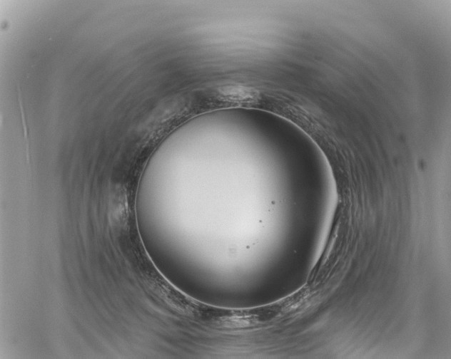 X0000061150320200511211008