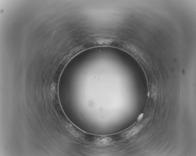 X0000061150321200511211008