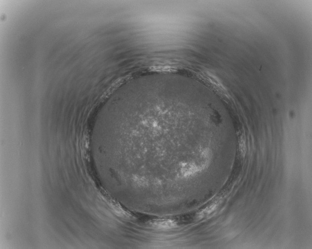 X0000061150322200511211008