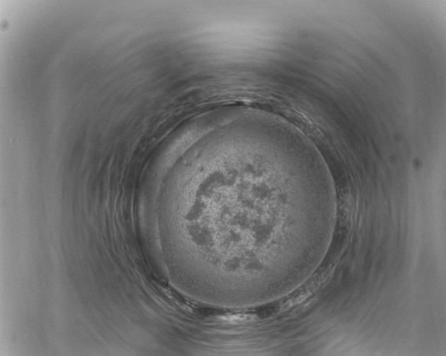 X0000061150323200511211008