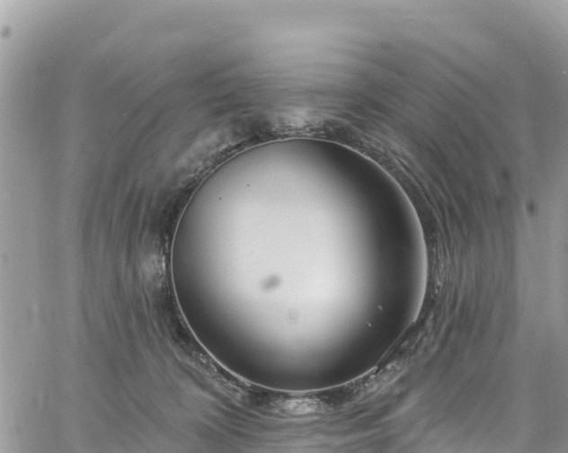 X0000061150324200511211008