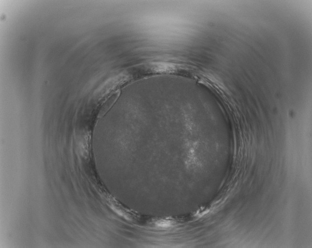 X0000061150325200511211008