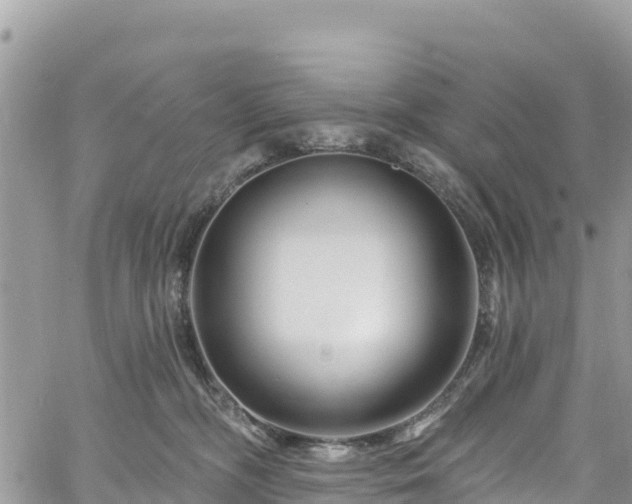 X0000061150326200511211008