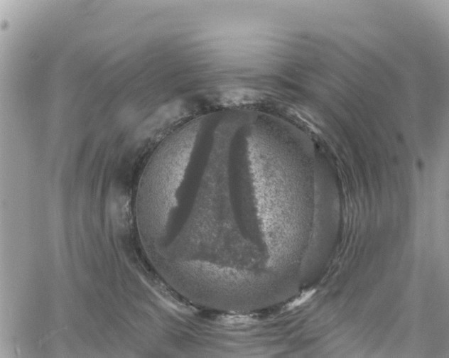 X0000061150327200511211008