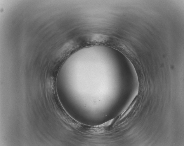 X0000061150328200511211008