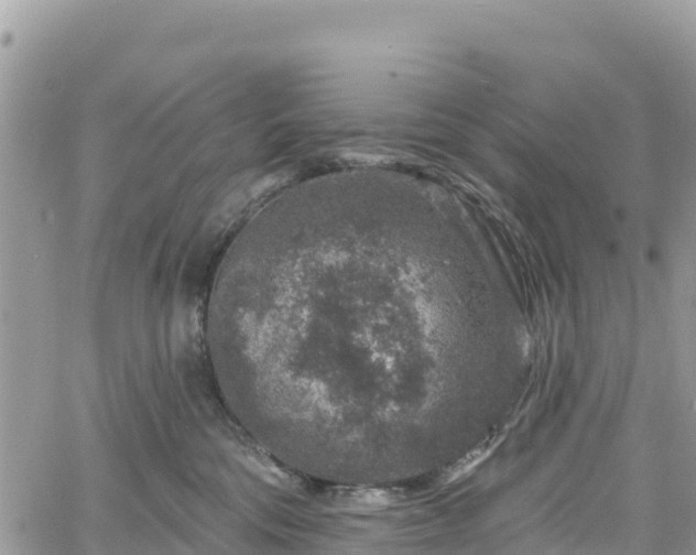 X0000061150330200511211008