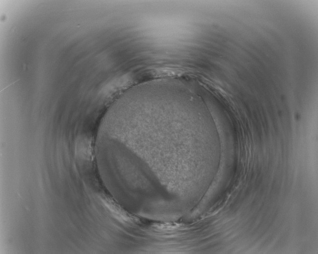 X0000061150331200511211008