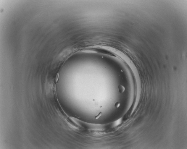 X0000061150333200511211008