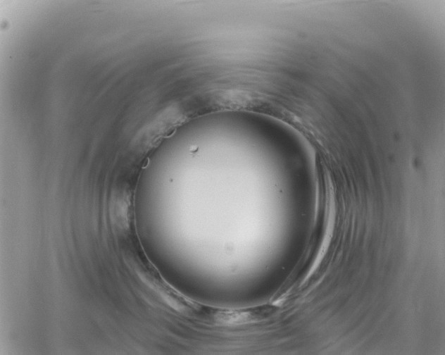 X0000061150334200511211008