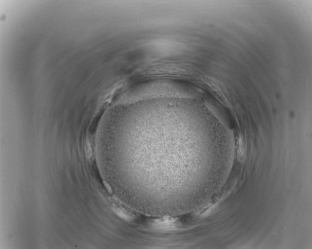 X0000061150335200511211008