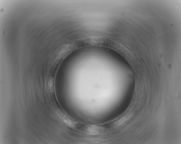 X0000061150336200511211008