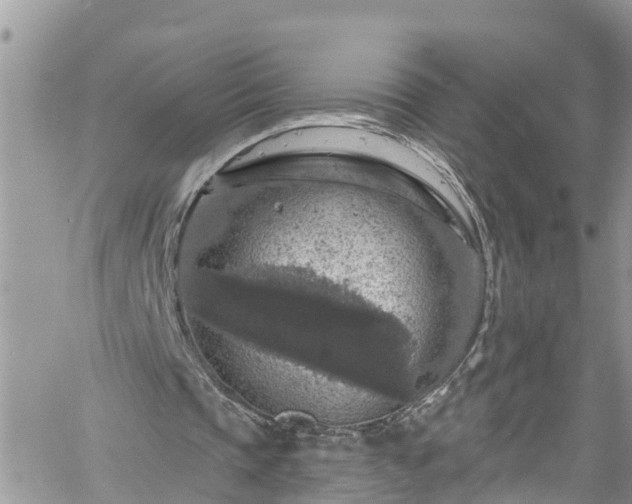 X0000061150337200511211007