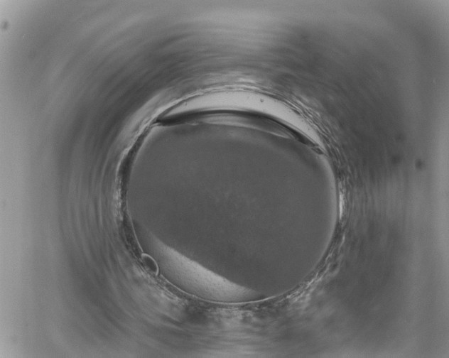 X0000061150339200511211007