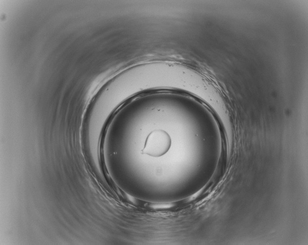 X0000061150340200511211007