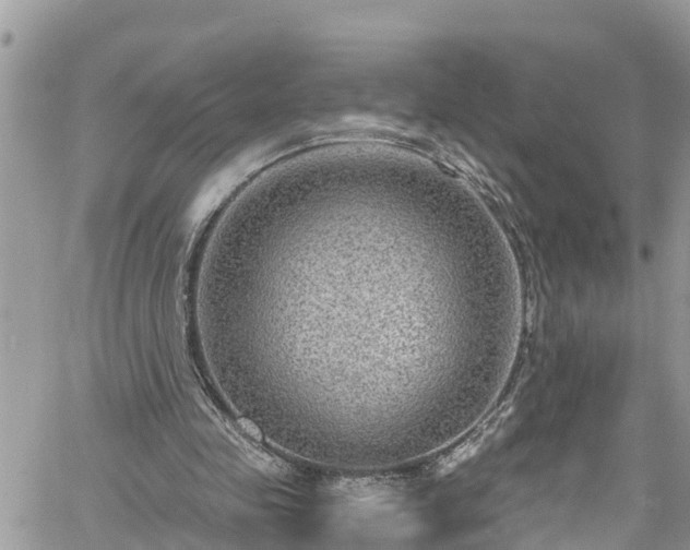 X0000061150341200511211007