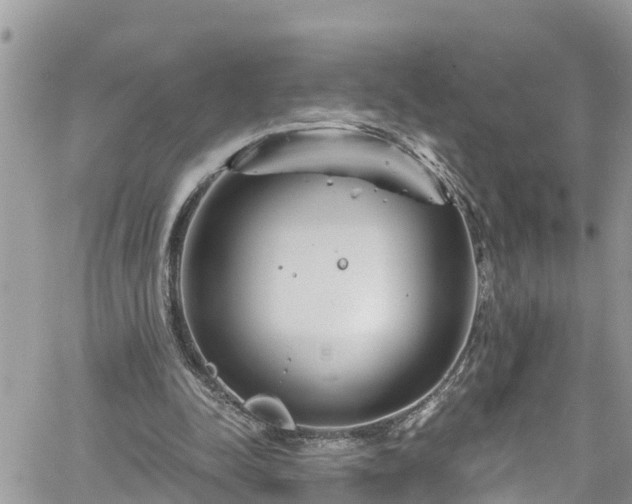 X0000061150342200511211007