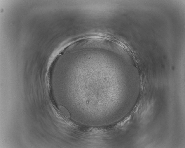 X0000061150343200511211007