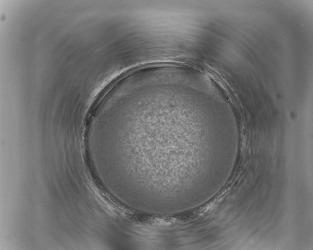 X0000061150346200511211007