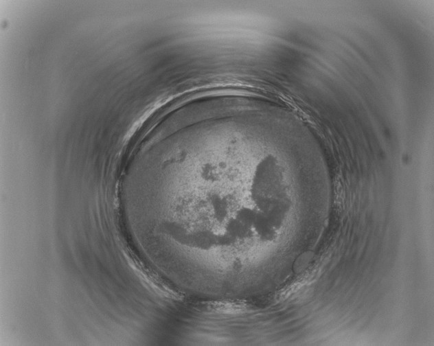 X0000061150347200511211007